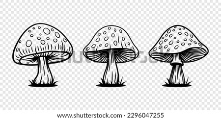 Vector Hand Drawn Mushroom With Outline Icon Set Isolated. Amanita Muscaria, Fly Agaric Scetch, Doodle, Linear Sign Collection. Magic Mushroom Symbol, Design Template. Vector illustration
