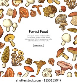 Vector hand drawn mushrooms background with place for text illustration. Mushroom food drawing, vegetable delicious