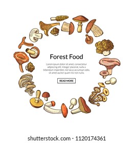 Vector hand drawn mushrooms in circle form with place for text in center illustration