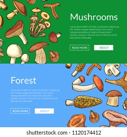Vector hand drawn mushrooms horizontal web banners and poster illustration