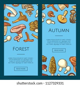 Vector hand drawn mushrooms vertical web banners illustration