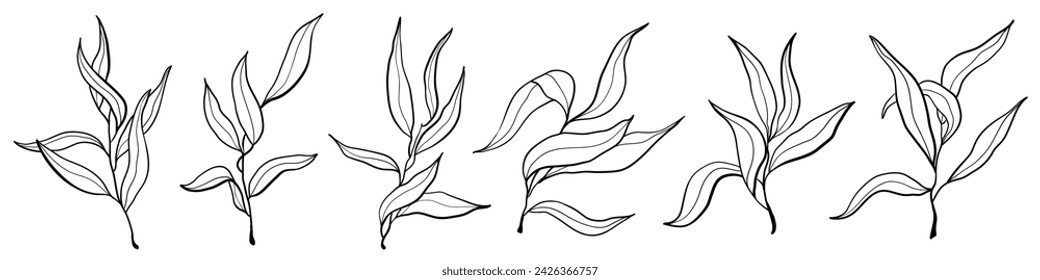 Vector hand drawn nature olive branches icons set. Doodle plants illustration isolated on white background. 