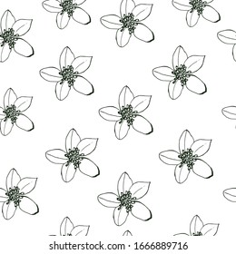 Vector hand drawn nigella simple pattern on white background. Coloring. Hand made  drawing for design, packaging, fabric.