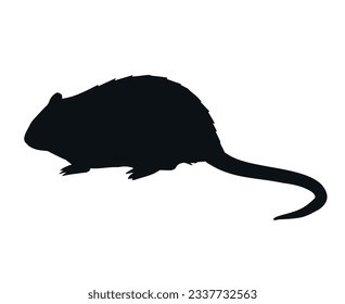 Vector hand drawn nutria silhouette isolated on white background