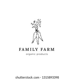 Vector hand drawn object, carrot logo template. Farm and organic food theme. Isolated symbol for business branding and identity, for farmers markets, fairs, and grocery stores.