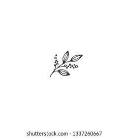 Vector hand drawn object, a sprig of pepper. Kitchen and food theme. Logo element. Isolated symbol for business branding and identity, for food blogs and websites, for cooking classes.