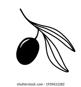 Vector hand drawn olive branch isolated on white background. Outline olive tree branch for menu, logo, greeting cards, patterns, web.