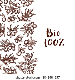 Vector hand drawn olive branches background with place for text illustration