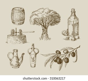 Vector Hand Drawn Olive Oil Sketch And Nature