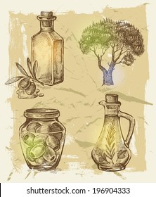 vector hand drawn olive on paint background
