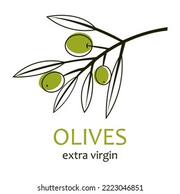 Vector hand drawn olives icon badge in lineart style for brochures, banner, restaurant menu and market.