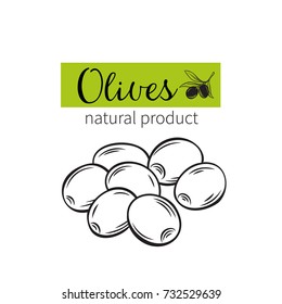 Vector hand drawn olives icon badge in the old ink sketch style for brochures, banner, restaurant menu and market