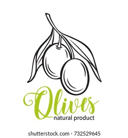 Vector hand drawn olives icon badge in the old ink sketch style for brochures, banner, restaurant menu and market