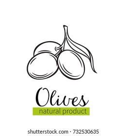 Vector hand drawn olives icon badge in the old ink sketch style for brochures, banner, restaurant menu and market