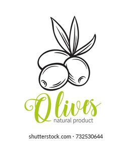 Vector hand drawn olives icon badge in the old ink sketch style for brochures, banner, restaurant menu and market