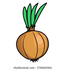 Vector hand drawn onion.  Cartoon doodle onion,