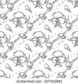 Vector hand drawn orchid seamless pattern