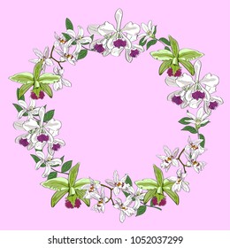 Vector hand drawn orchids floral wreath isolated on pink background