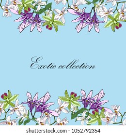 Vector hand drawn orchids flowers border isolated on light blue background