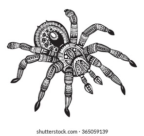  Araña decorada a mano vectorial en estilo zentangle. Dibujo de dibujos para tatuajes, impresiones o pantalones en T