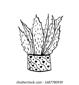 Vector hand drawn outline cactuse in flowerpot. Cute hand drawn cactus print isolated on white. Doodle illustration.