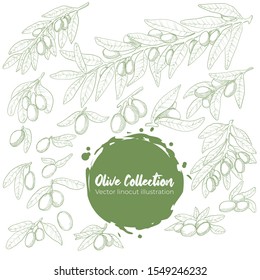 Vector hand drawn outline collection of olive, branch and leaves. Line art sketch set of healthy food element of olive tree.  Isolated on white background stock illustration.