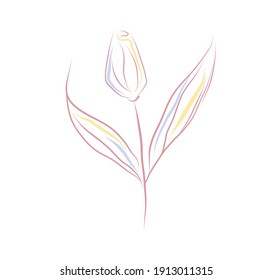 Vector hand drawn outline flower clip art. Pink, yellow and blue floral line art illustration. Botanical design element for card, invitation, sticker, greeting and decoration.