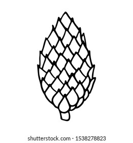 Vector hand drawn outline illustration of pine or fir cone. Black contour doodle, line art style. New Year and Christmas decoration. Coloring book design element. WInter forest botanical object