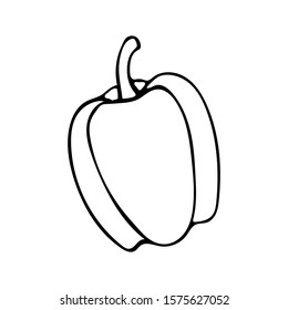 Vector hand drawn outline illustration of bell pepper. Black contour doodle in line art style. Sketch of farm and garden vegetable. Isolated contour icon. Coloring book design element