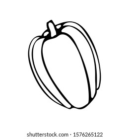 Vector hand drawn outline illustration of bell pepper. Black contour doodle in line art style. Sketch of farm and garden vegetable. Isolated contour icon. Coloring book design element