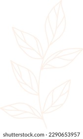 Eslabón de la mano del vector ilustración natural orgánica minimalista de planta, flor, hoja, naturaleza, forma. Ideal para la decoración en casa, diseño de afiches, pegatinas, collage y otros proyectos creativos.