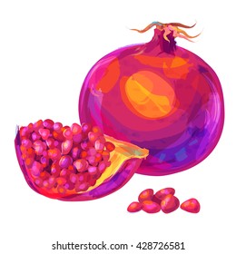 Vector hand drawn painting fruit. Garnet on white background. This is illustration ideal for a mascot and T-shirt graphic. Stock illustration