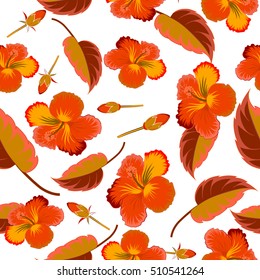 Vector hand drawn painting of hibiscus flowers in orange colors. Seamless pattern on white background.