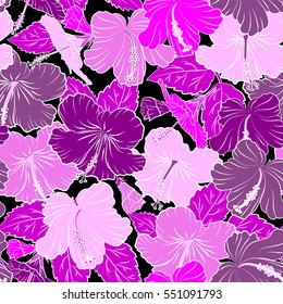 Vector hand drawn painting of hibiscus flowers in purple, magenta and pink colors. Seamless pattern on black background.