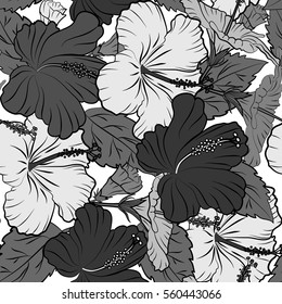 Vector hand drawn painting of hibiscus flowers in gray colors. Seamless pattern on white background.