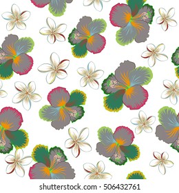 Vector hand drawn painting of plumeria and hibiscus flowers, seamless pattern on white background.