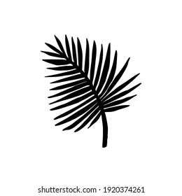 Vector hand drawn palm leaf silhouette isolated on white background