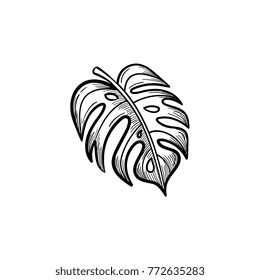 Vector hand drawn palm leaf outline doodle icon. Palm leaf sketch illustration for print, web, mobile and infographics isolated on white background.