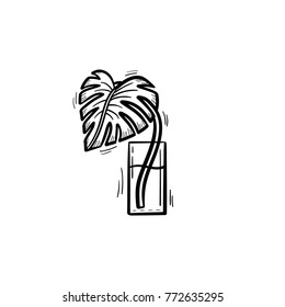Vector hand drawn palm sprout in a glass of water outline doodle icon. Palm leaf sketch illustration for print, web, mobile and infographics isolated on white background.