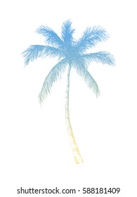 Vector Hand Drawn Palm Tropical 260nw 588181409 