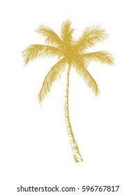 Vector hand drawn palm. Tropical summer engraved style illustration. Perfect for invitations, greeting cards, posters.