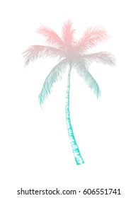 Vector hand drawn palm. Tropical summer engraved style illustration. Perfect for invitations, greeting cards, posters.