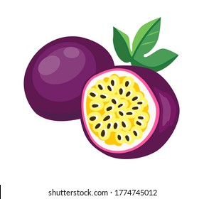 Vector Hand Drawn passion fruit isolated on a white background. Fruit Illustration. 