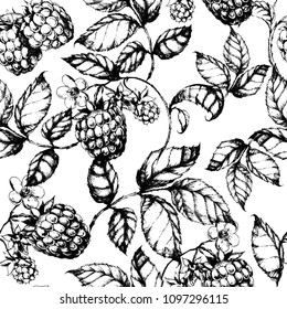 Vector hand drawn pattern with raspberry. Ink drawn botanical illustration in realistic style for print, wrapping, fabric, textile, paper and other seamless design. Black and white