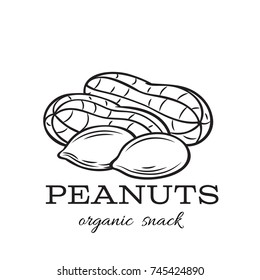 Vector hand drawn peanuts for template label, packing and emblem farmer market design. Retro sketch style.