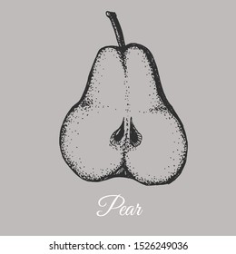 vector hand drawn pear illustration. ripe fruit cut in half. organic vegetarian ingredient. locally grown farm product for design template