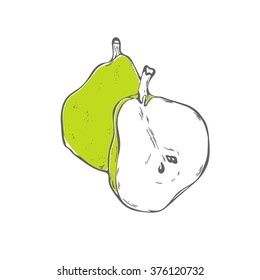 Vector hand drawn pear illustration on white background