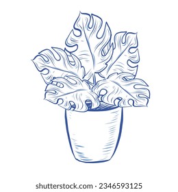 Vector Hand Drawn Pen Illustration of  Palm Plant in a Pot Isolated on White Background. Doodle style Plant in a Pot Vintage Retro Style Design Element. Isolated Hand Drawn Vintage Palm Plant.