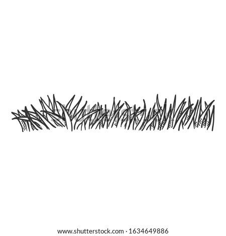 Vector Hand Drawn Penciling Sketch Grass