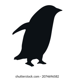 Vector hand drawn penguin silhouette isolated on white background